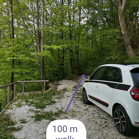 Prihodi 33
